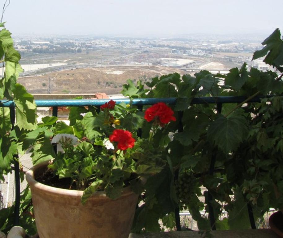 The Artist'S House Overlooking The Bay Of Hayfa Dış mekan fotoğraf